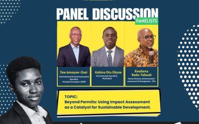 Beyond Permits – Using Impact Assessment as a Catalyst for Sustainable Development