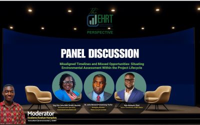 Situating Environmental Assessment Within the Project Lifecycle: Experts Call for Early Integration to Prevent Missed Opportunities